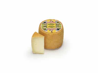 Tommette de Oveja
